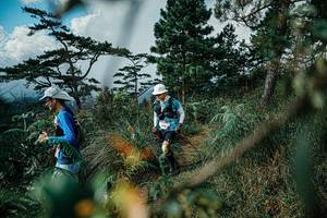 BIB: 
                            <button type="button" onclick="openModal(25260045)" class="btn btn-primary btn-sm float-right btn-popup" data-toggle="modal" data-target=".modal-high-quality">
                        <i class="fas fa-shopping-cart"></i> Add to Cart
                    </button>
                                            <button type="button" onclick="isThisMe(25260045, true)" class="btn btn-success btn-sm float-right btn-popup btn-isme hidden" data-toggle="tooltip" data-placement="bottom" title="นี่คือรูปของคุณใช่ไหม คลิกที่นี่เพื่อเอาเข้าอัลบั้ม">
                        <i class="fas fa-plus"></i> Add to album
                    </button>
                    <button type="button" onclick="isThisMe(25260045, false)" class="btn btn-warning btn-sm float-right btn-popup btn-isnotme hidden">
                        <i class="fas fa-ban"></i> Remove from album
                    </button>